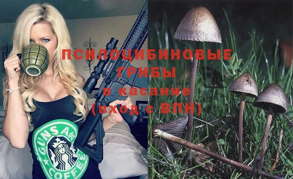 бошки Абинск