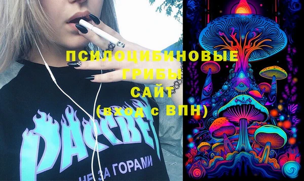 бошки Абинск
